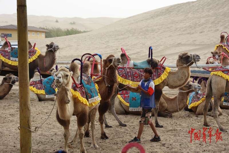 新疆尉犁：这里有风情更有奋斗(图10)