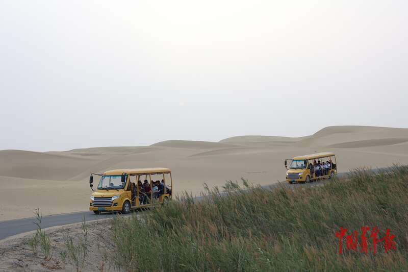 新疆尉犁：这里有风情更有奋斗(图13)