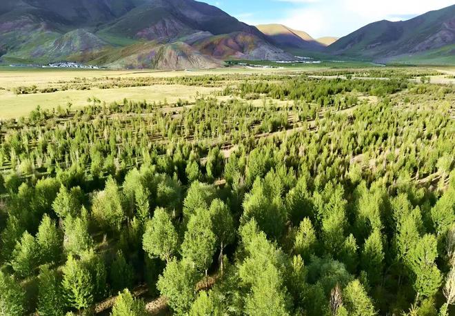 60年看浪卡子牧旅腾飞(图8)