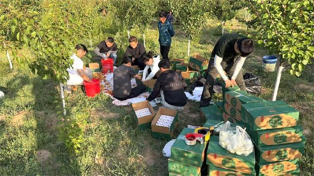 陕西横山区：“陕北横山”区域公用品牌+直播 拓宽土特产线上销路(图2)