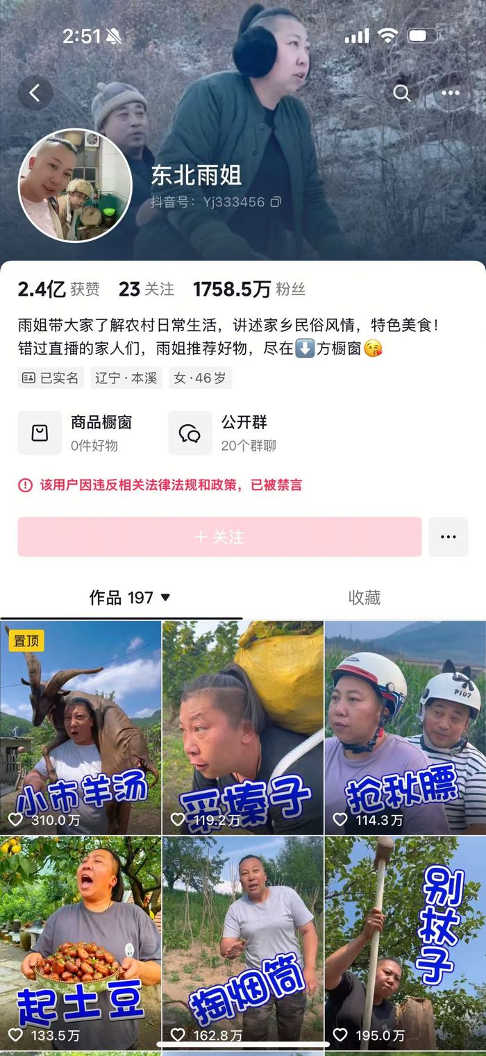 未缴纳罚款“东北雨姐”带货红薯粉厂商被强制执行671万元(图1)