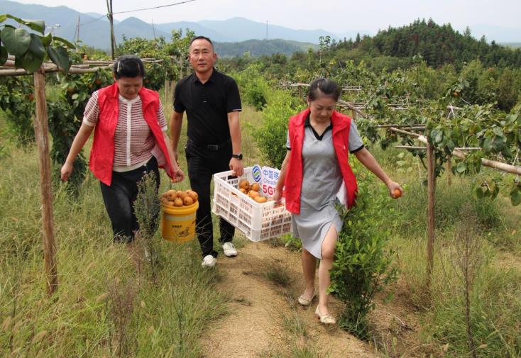 中国移动安徽公司数智赋能 奏响乡村振兴“秋收乐章”(图2)