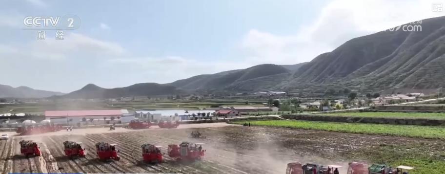 金秋好“丰”景：特色作物迎采收高峰 多元产业奏响经济增收“交响曲”(图1)