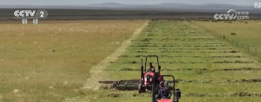 金秋好“丰”景：特色作物迎采收高峰 多元产业奏响经济增收“交响曲”(图7)