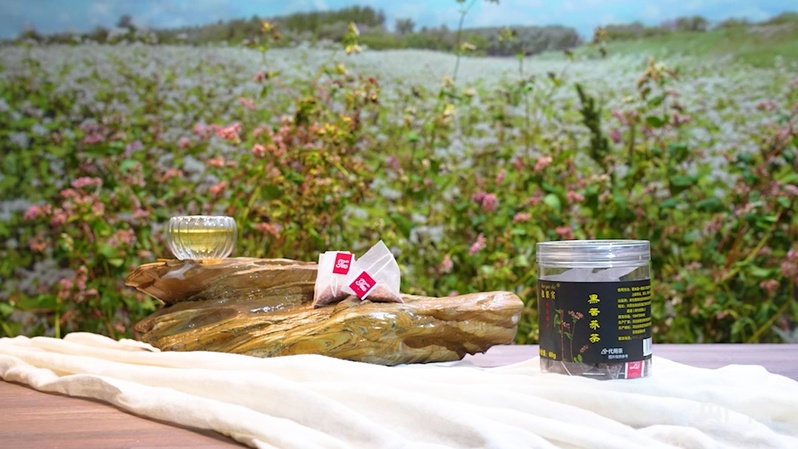 金秋绘丰收丨从“饸饹面”到“黄金链” “金豆豆”长出“大产业”(图2)