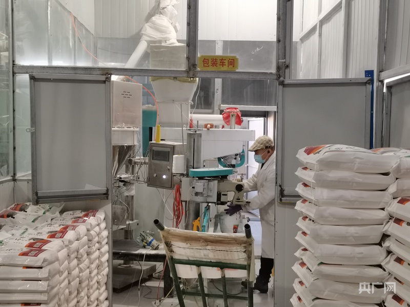 金秋绘丰收丨从“饸饹面”到“黄金链” “金豆豆”长出“大产业”(图3)