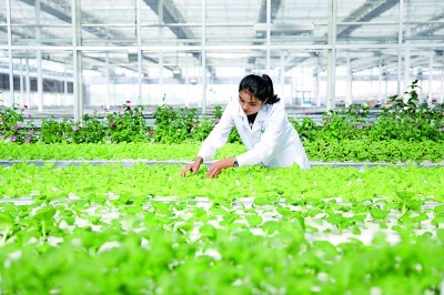 新疆维吾尔自治区70年发展成就斐然——同心共筑梦 天山绽新颜(图3)