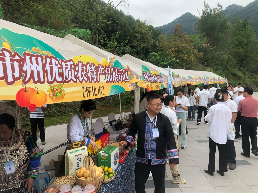 湖南首届“村播”大赛在古丈火热开赛(图2)