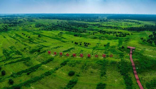 彰武地瓜品牌价值达1601亿元 特色农产品金字招牌成色更足(图12)