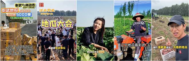 彰武地瓜品牌价值达1601亿元 特色农产品金字招牌成色更足(图4)