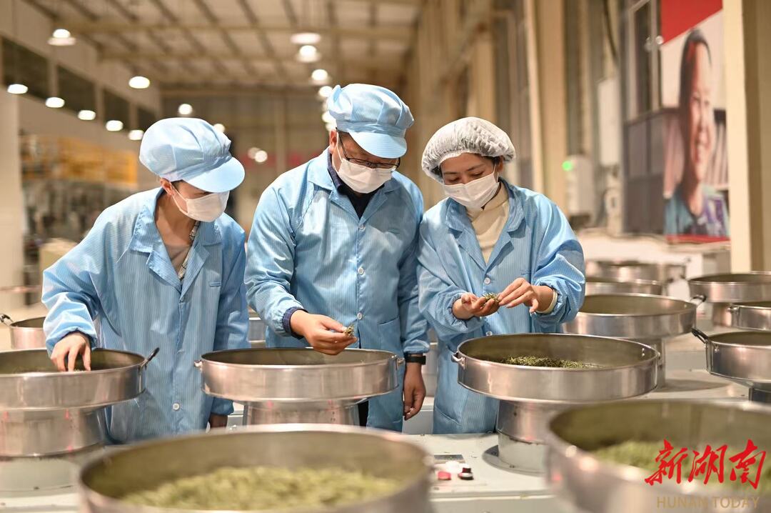 小县大梦 云端起飞——中国光大集团帮扶古丈县“数商兴农”侧记(图4)