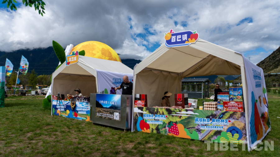 西藏林芝:一场高原果香与人文盛宴的完美邂逅(图1)