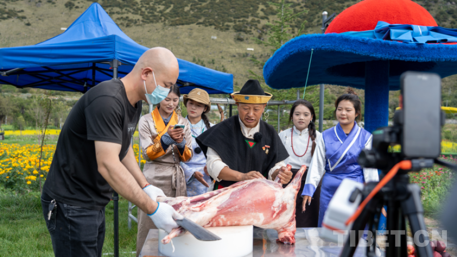 西藏林芝:一场高原果香与人文盛宴的完美邂逅(图3)