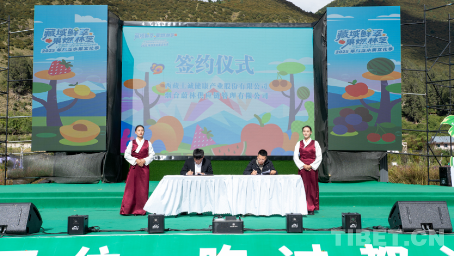 西藏林芝:一场高原果香与人文盛宴的完美邂逅(图5)