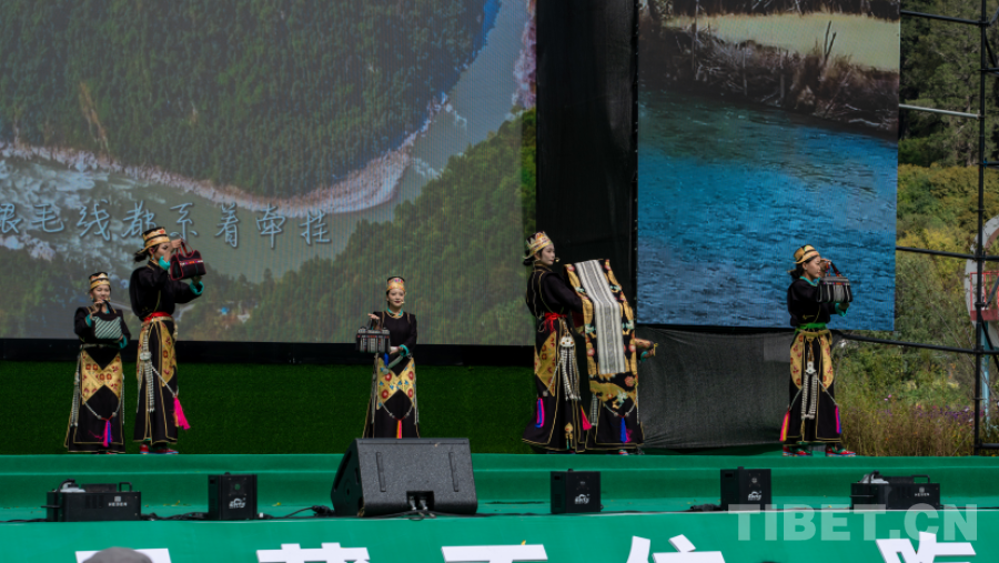 西藏林芝:一场高原果香与人文盛宴的完美邂逅(图4)