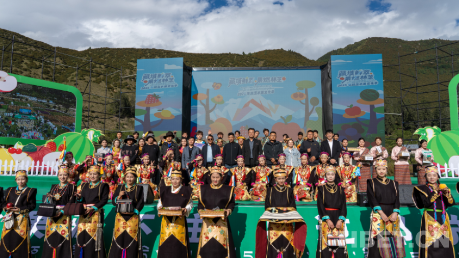 西藏林芝:一场高原果香与人文盛宴的完美邂逅(图6)