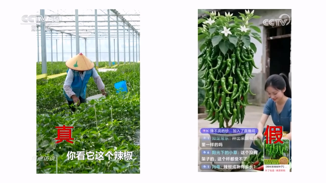 焦点访谈｜真假难辨 警惕AI带货“李鬼”！(图5)