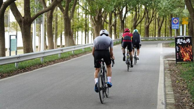 手机成了“新农具”！他们用直播链接诗意田园：太北村的“出圈”密码(图2)