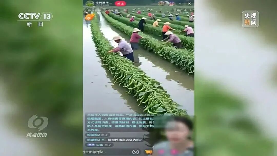 央视曝光！主播直播间用AI仿冒湖南岳阳辣椒带货(图4)