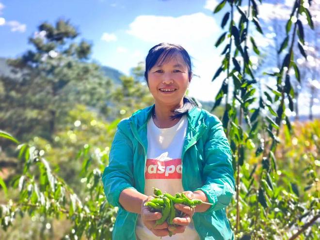 兔街镇：网络直播让优质“山货”直通“云端”(图5)