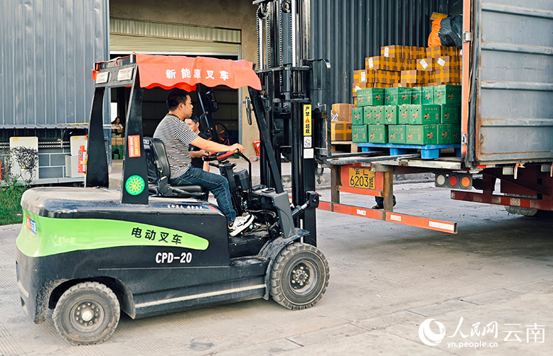 “一颗核桃”如何破“壳”成“链”？(图5)