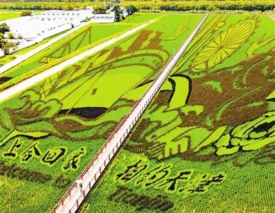 “农”墨重彩促振兴 津沽大地绘新卷