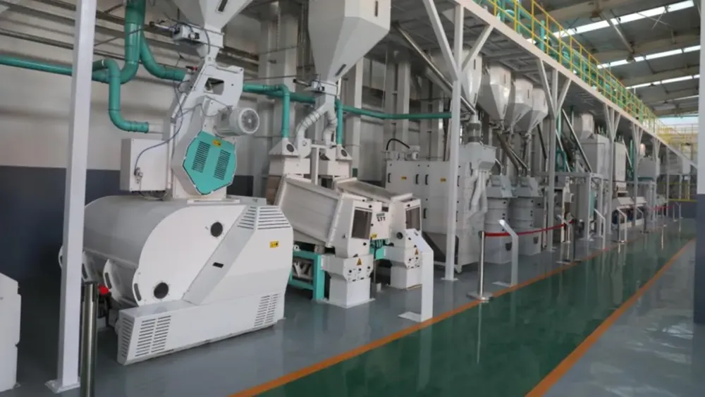 “农”墨重彩促振兴 津沽大地绘新卷(图2)