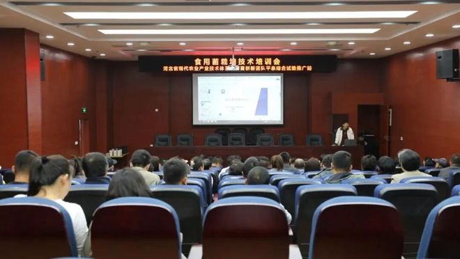 品牌周讯 1013-1019农业品牌活动一览表(图6)