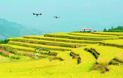 【大调研我们在行动】我国农业生产方式正在发生质变(图2)