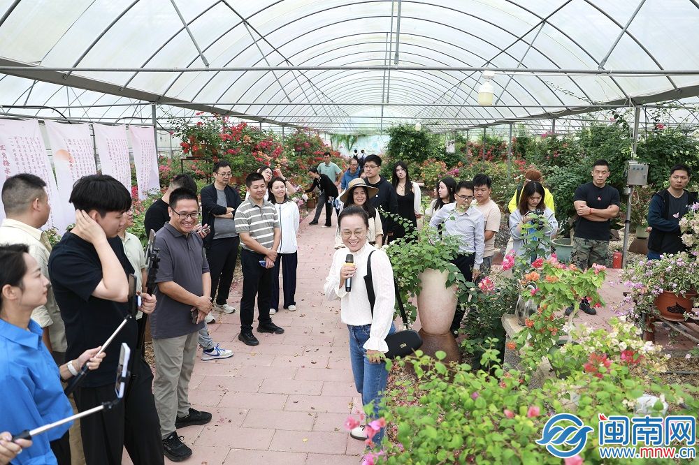 “福农优品・我在家乡等你来”网络直播活动走进厦门同安-新华网(图6)