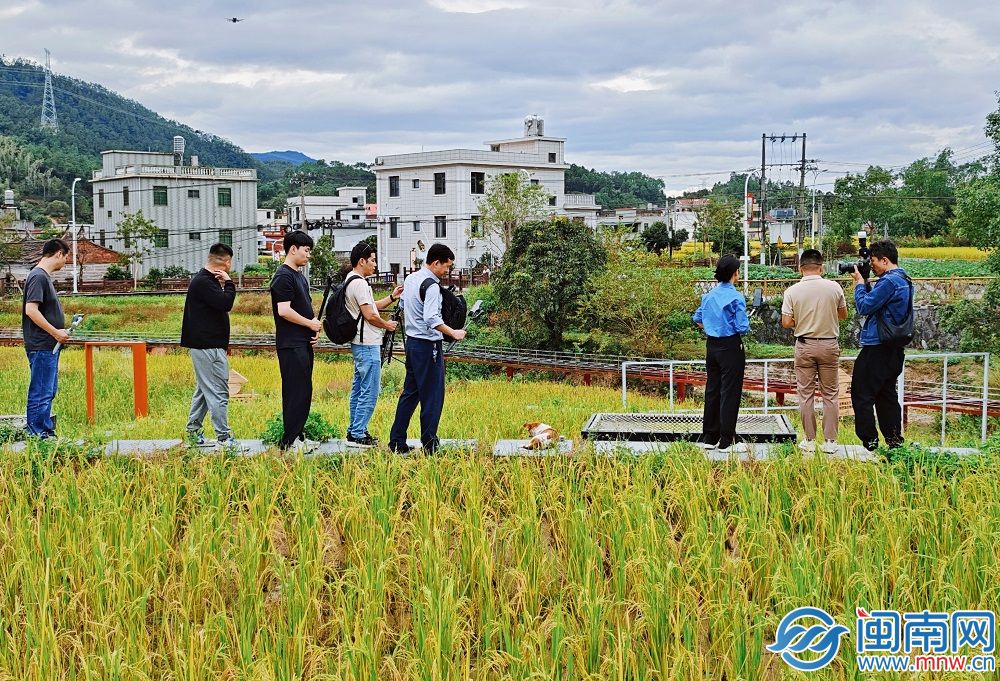 “福农优品・我在家乡等你来”网络直播活动走进厦门同安-新华网(图9)
