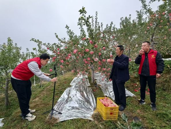 中国式现代化・榆林实践 清涧：直播带农货 “流量”变“销量”(图1)