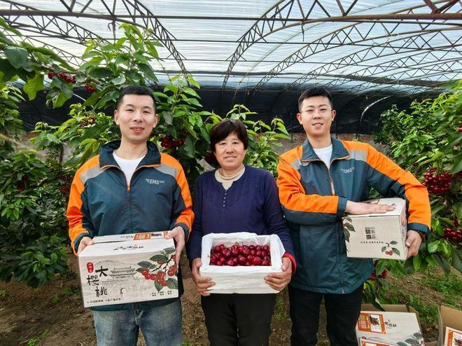 半月谈丨带货助农：从“绿邮包”到“绿幕布”(图2)