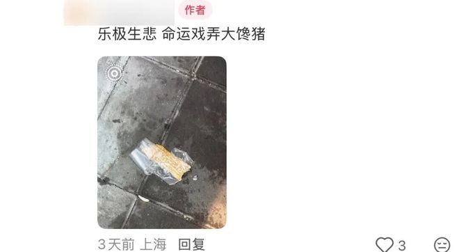 入冬新顶流48一串的奶皮子糖葫芦到底谁在排队(图7)