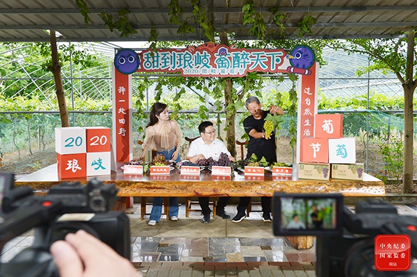 黄土高原苹果“云”上畅销 一部手机卖出数亿元农产品