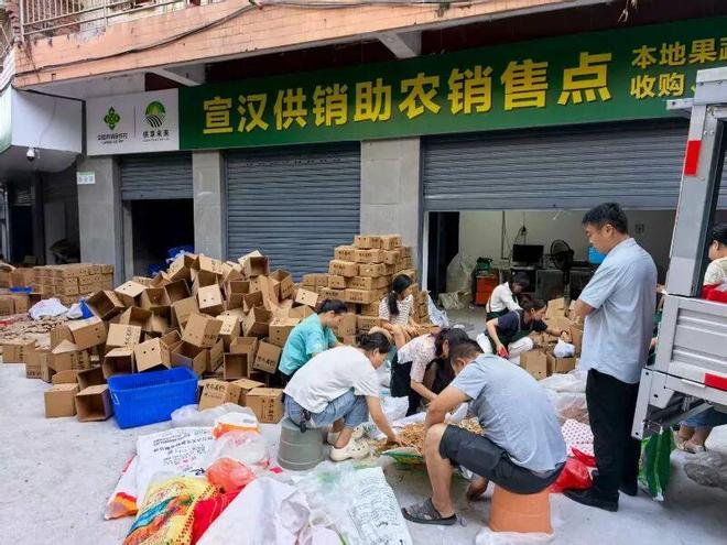 超100万元！宣汉“帮帮带”直播有点东西(图2)