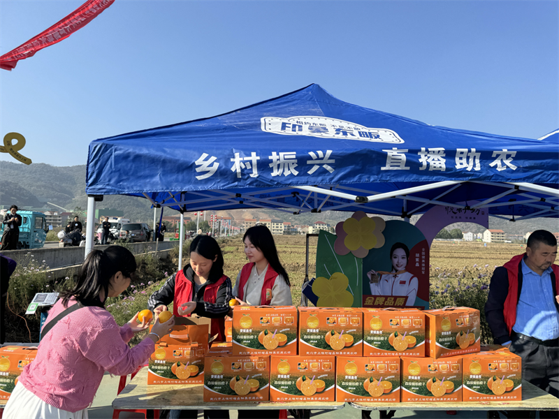 车间建到村里头 致富路在脚下走(图3)