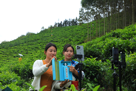 凌云：“姐妹花”返乡创业 用流量反哺家乡“土货”出山(图2)