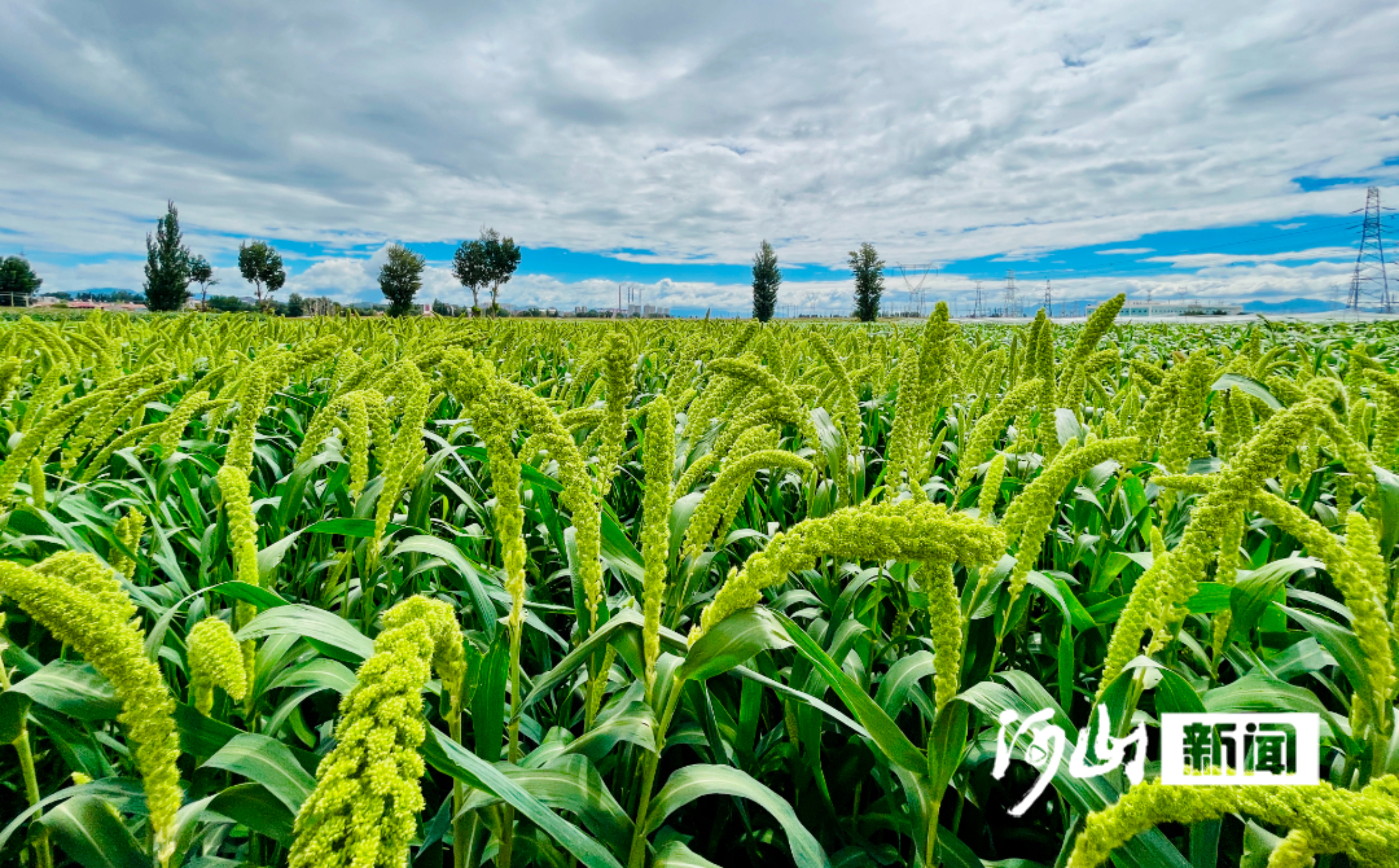 牢记嘱托 感恩奋进｜答卷者说(图5)