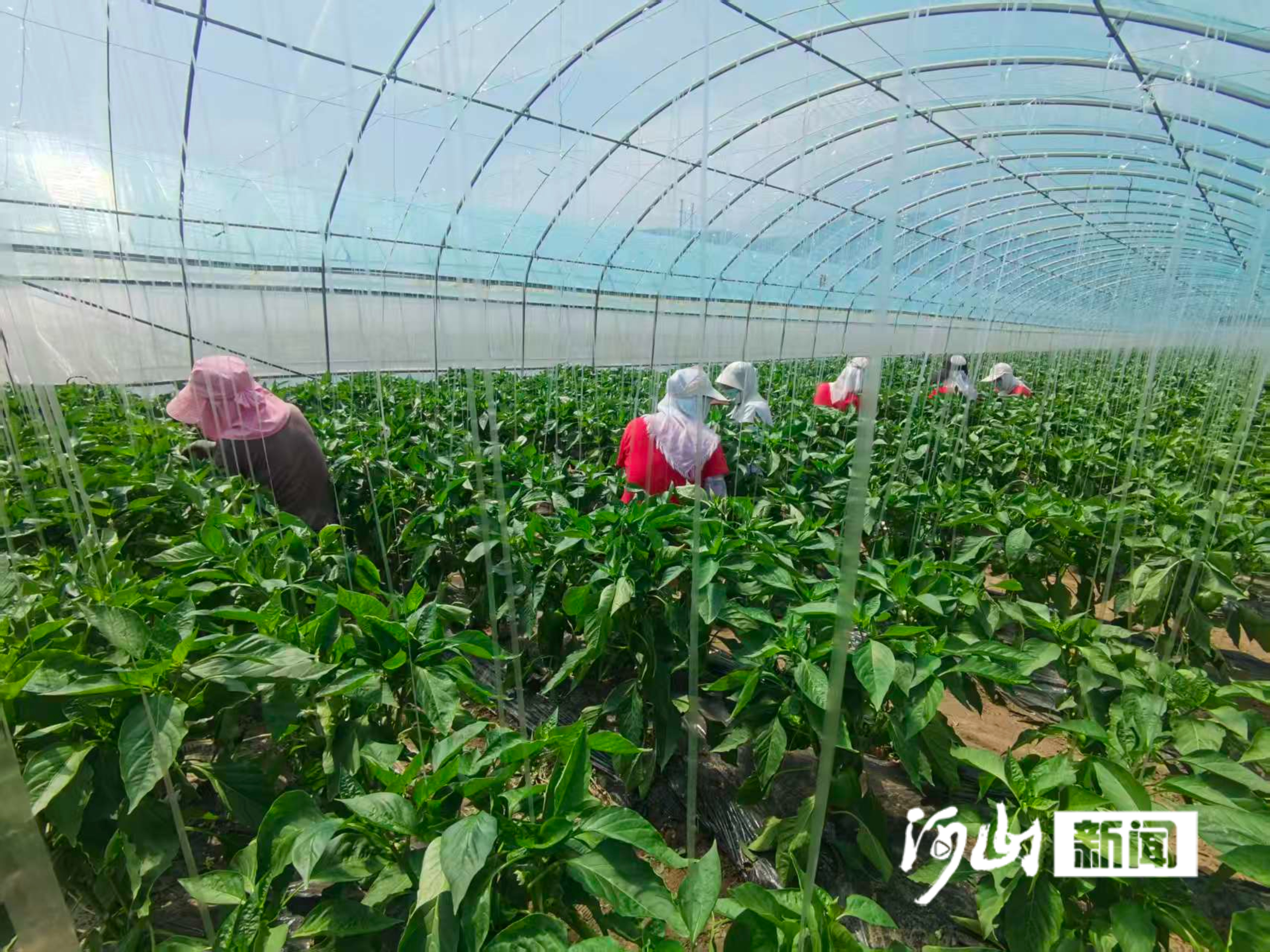 牢记嘱托 感恩奋进｜答卷者说(图9)