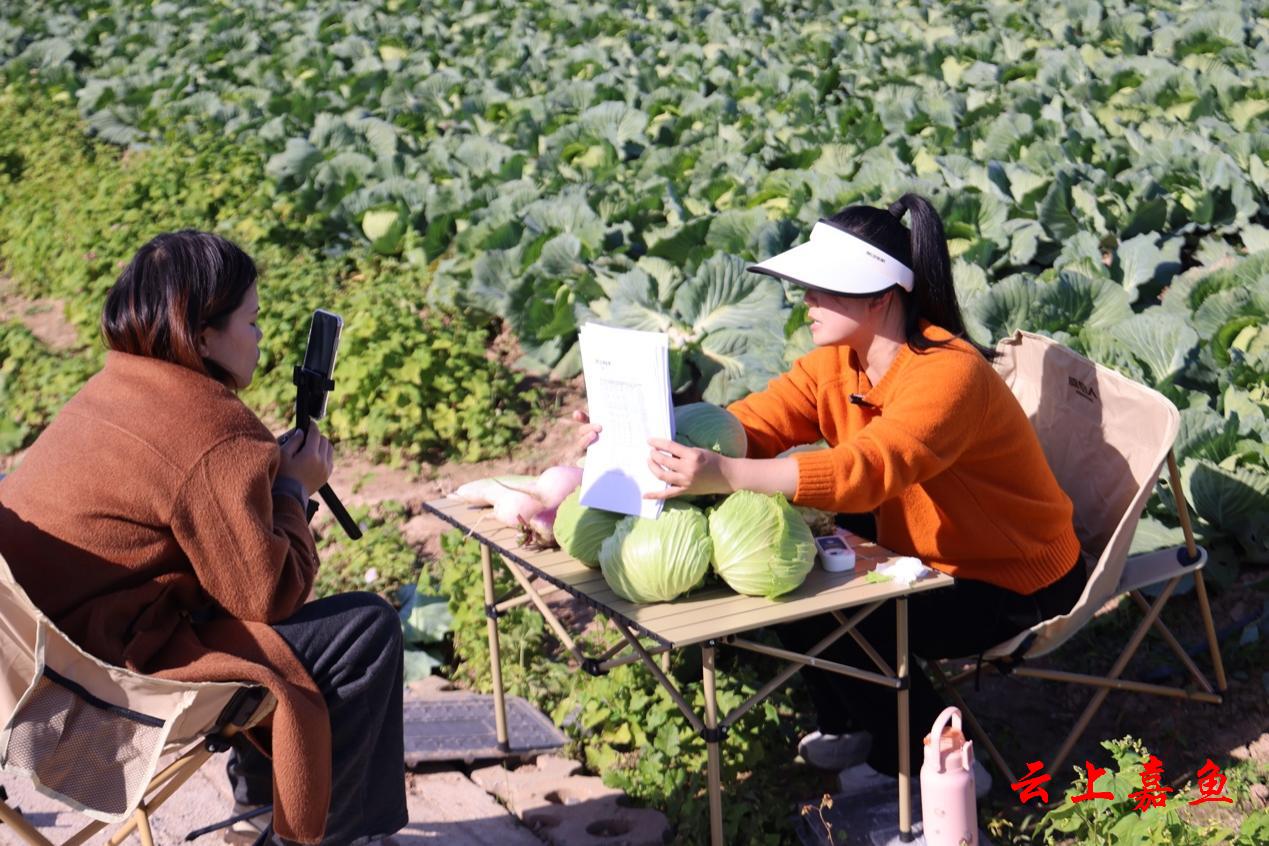 直播带货赋能咸宁嘉鱼蔬菜“线上走俏”(图1)