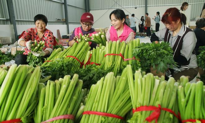 河南尉氏：创新直播助农模式破解销售难题(图2)