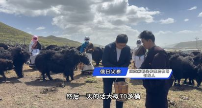 大国小村｜从雪山牧场到国际认证探访青海高原牧村的“破圈”之路(图3)