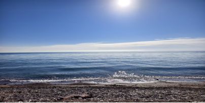 大国小村｜从雪山牧场到国际认证探访青海高原牧村的“破圈”之路(图4)