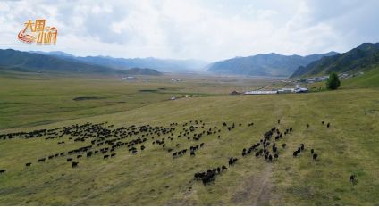 大国小村｜从雪山牧场到国际认证探访青海高原牧村的“破圈”之路(图5)