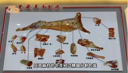 大国小村｜从雪山牧场到国际认证探访青海高原牧村的“破圈”之路(图9)