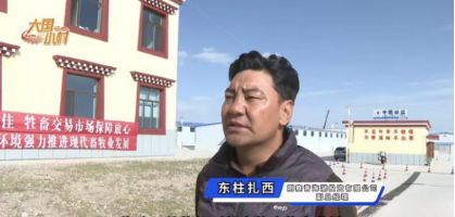 大国小村｜从雪山牧场到国际认证探访青海高原牧村的“破圈”之路(图10)