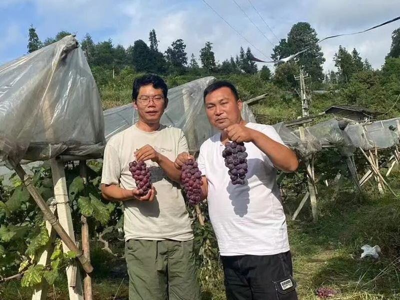 手机变农具！贵州师范大学驻村书记直播带货把农产品卖向全国(图5)