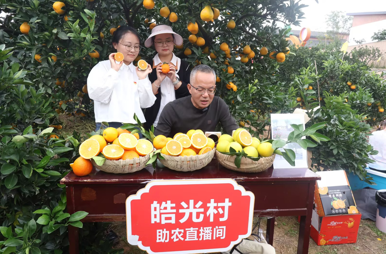 从提篮叫卖到云端吆喝 宜都电商快车道让山货跑得飞快！