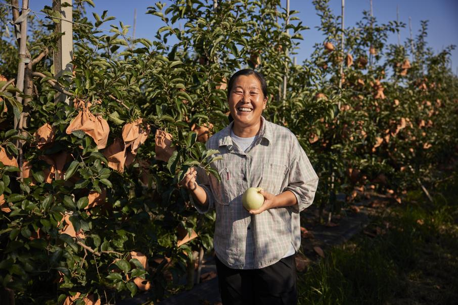 朋友你好吗丨“沂蒙二姐”吕玉霞：柿子熟了诗也成了(图4)